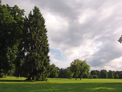 BERLÍN08 (177) Sanssouci